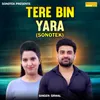 About Tere Bin Yara (Sonotek) Song